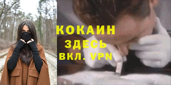 спиды Алзамай