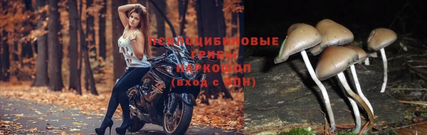 меф Алексин